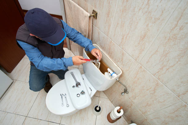 Best Local Plumber Services  in Pine Hills, FL