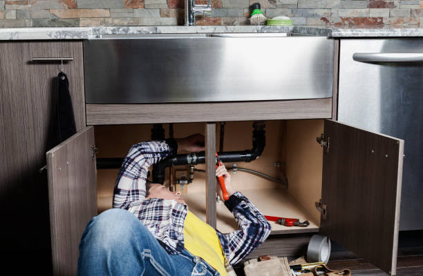 Best Plumbing Inspection Services  in Pine Hills, FL